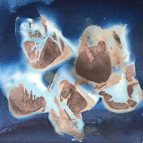 Tea, cyanotype on paper, 6x6"; process: hot tea bags and sunlight; 04-07-2020